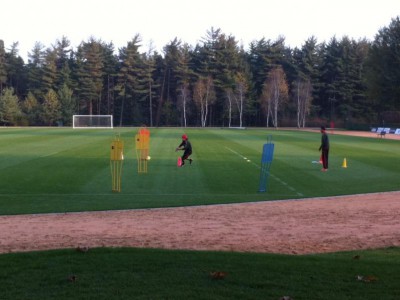 Manutenzione del verde “Centro Sportivo Milanello” A.C. Milan