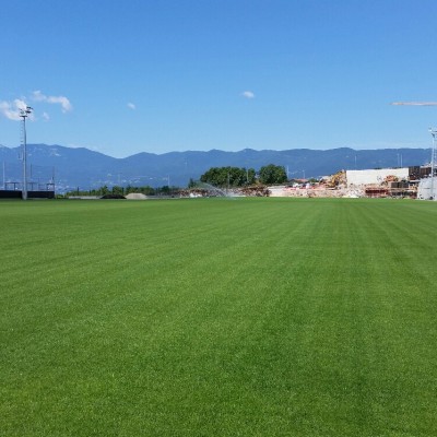 20150626_104952_resized